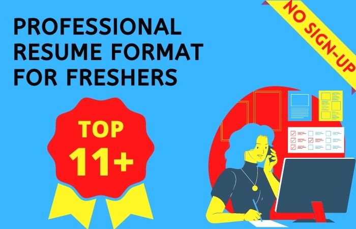 professional resume format for freshers